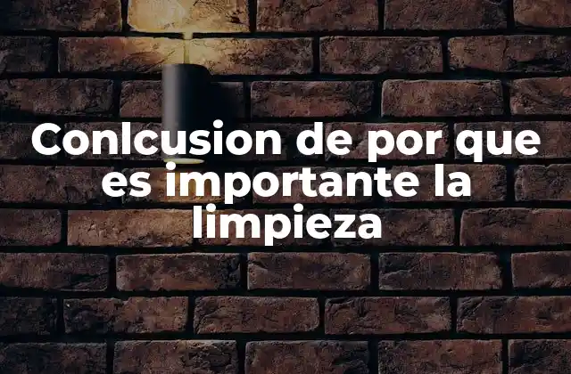 Conlcusion de por que es Importante la Limpieza