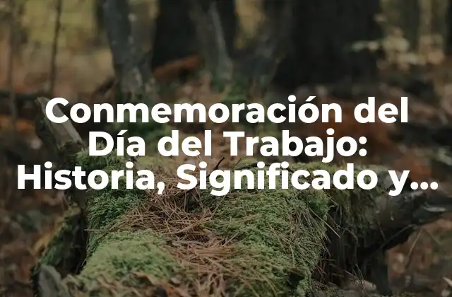 Conmemoración Del Día Del Trabajo: Historia, Significado y Celebración