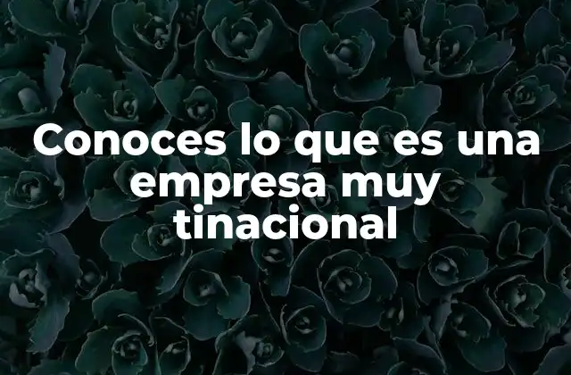 Conoces Lo que es una Empresa Muy Tinacional