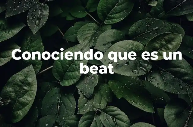 Conociendo que es un Beat 2 La importancia del beat en la música electrónica