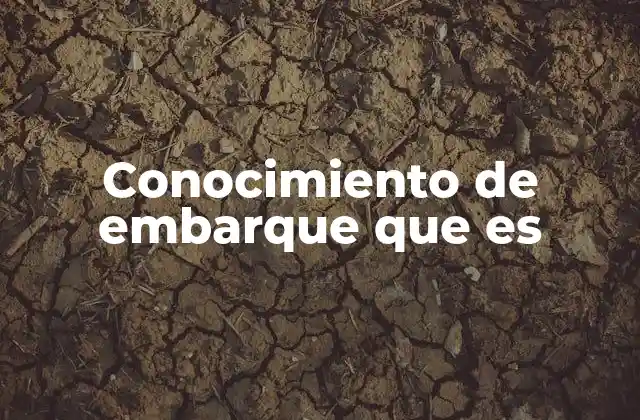 Conocimiento de Embarque que es