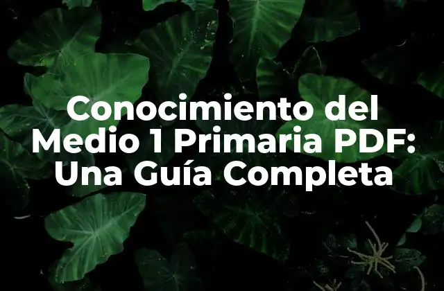 Conocimiento Del Medio 1 Primaria Pdf: una Guía Completa 2 ¿Qué es el Conocimiento del Medio 1 Primaria?