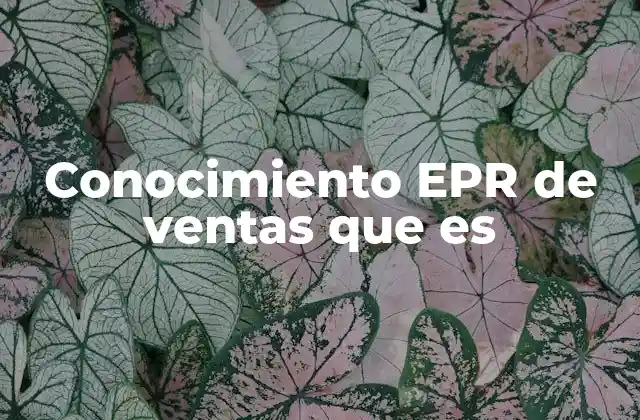 Conocimiento Epr de Ventas que es