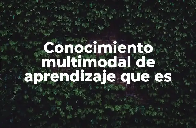 Cómo se construye un sistema de aprendizaje multimodal