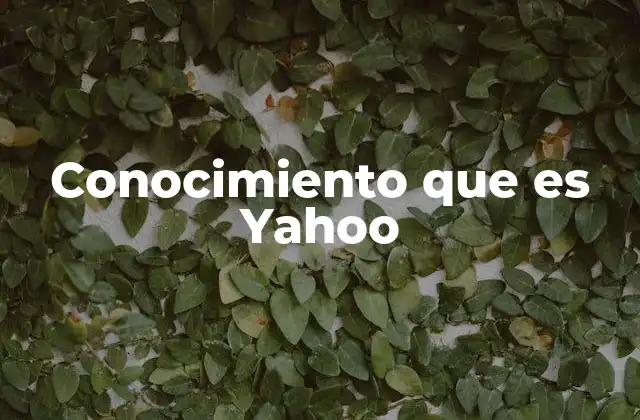 Yahoo como pionero de la organización de información en internet