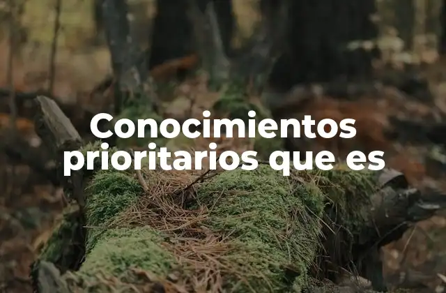 Conocimientos Prioritarios que es