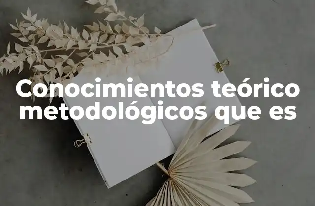 Conocimientos Teórico Metodológicos que es