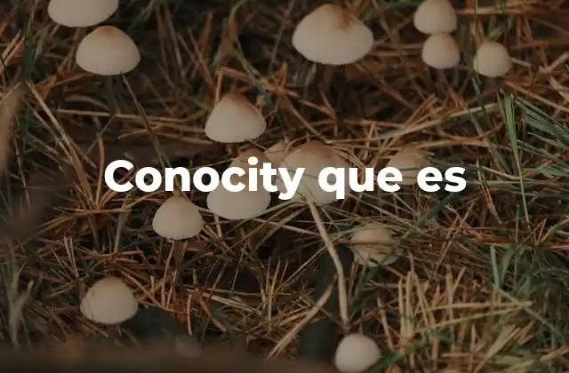 Conocity que es