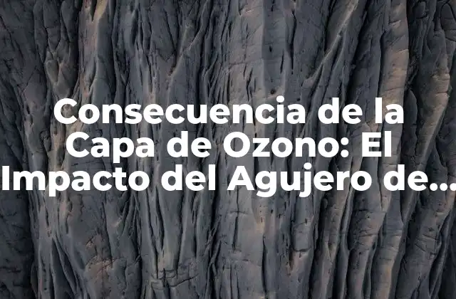 Consecuencia de la Capa de Ozono: el Impacto Del Agujero de Ozono en la Tierra