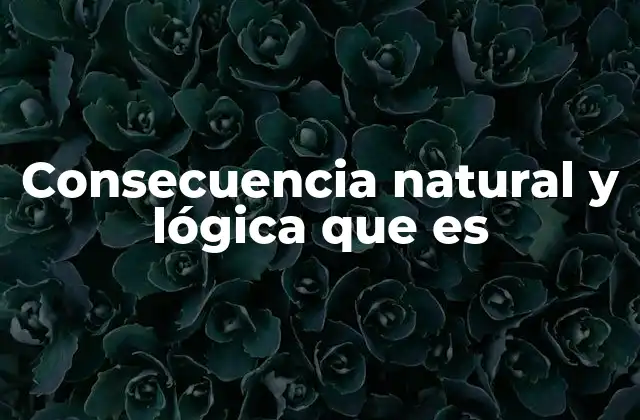 Consecuencia Natural y Lógica que es