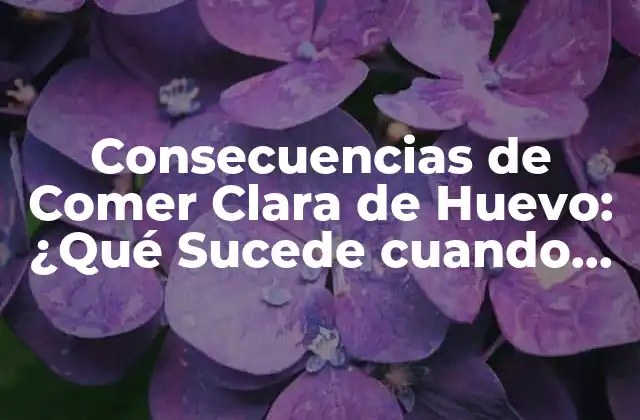 Consecuencias de Comer Clara de Huevo: ¿qué Sucede Cuando Ingerimos Demasiada Proteína?