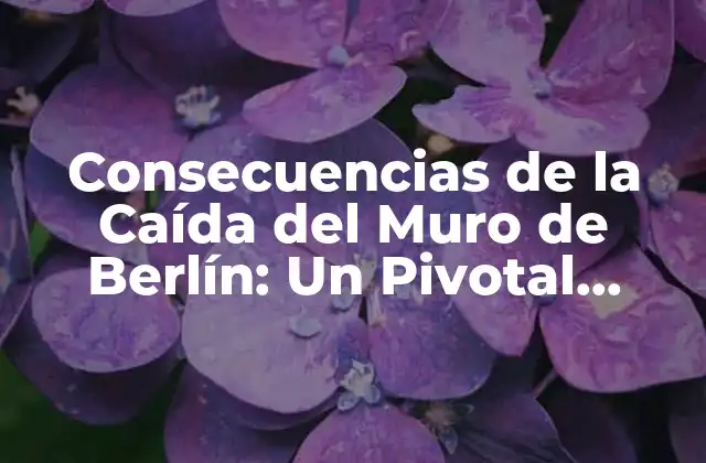 Consecuencias de la Caída Del Muro de Berlín: un Pivotal Momento en la Historia