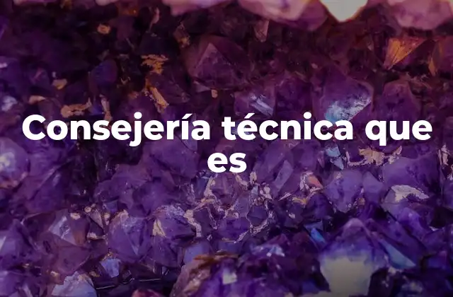 Consejería Técnica que es