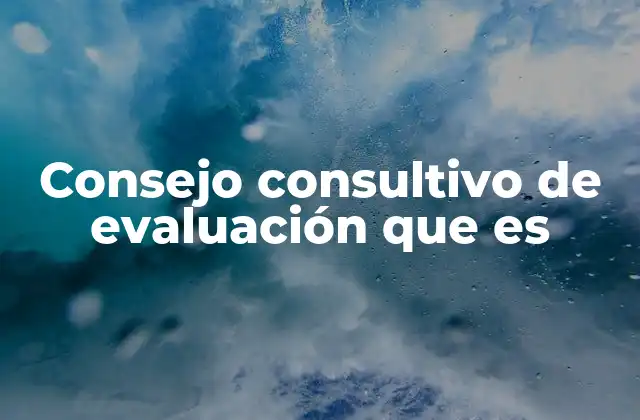 Consejo Consultivo de Evaluación que es