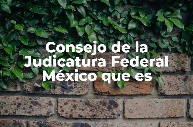 Consejo de la Judicatura Federal México que es