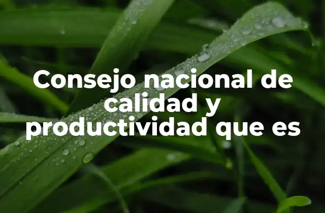 Consejo Nacional de Calidad y Productividad que es