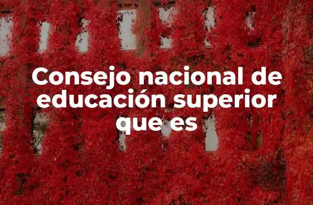 Consejo Nacional de Educación Superior que es