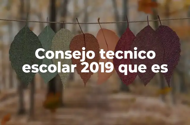 Consejo Tecnico Escolar 2019 que es