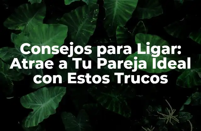 Consejos para Ligar: Atrae a Tu Pareja Ideal con Estos Trucos