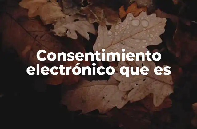Consentimiento Electrónico que es