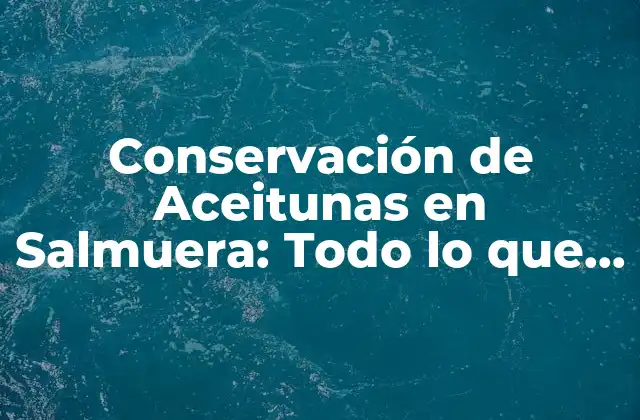 Conservación de Aceitunas en Salmuera: Todo Lo que Necesitas Saber
