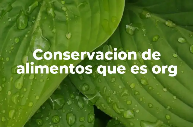 Conservacion de Alimentos que es Org