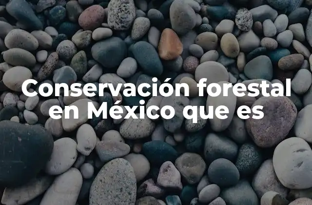 Conservación Forestal en México que es
