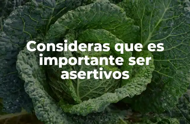 Consideras que es Importante Ser Asertivos