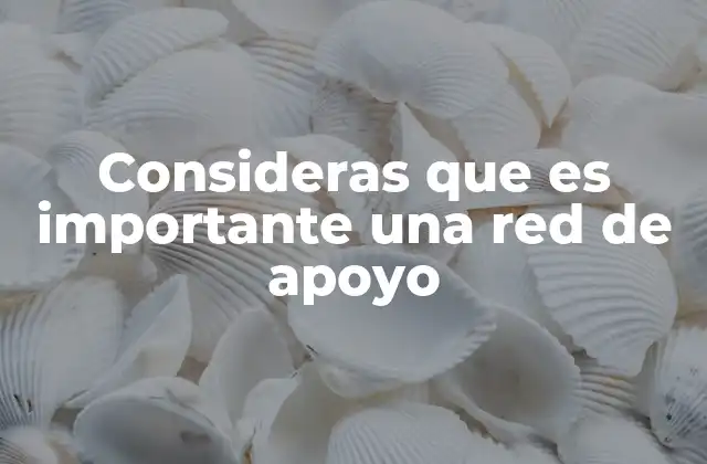 Consideras que es Importante una Red de Apoyo