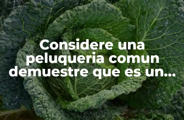 Considere una Peluqueria Comun Demuestre que es un Sistema