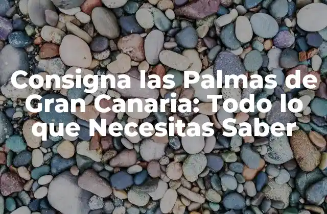 Consigna las Palmas de Gran Canaria: Todo Lo que Necesitas Saber