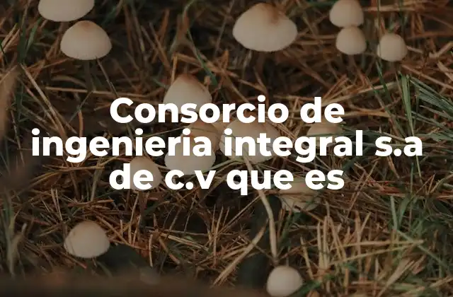 Consorcio de Ingenieria Integral S.a de C.v que es