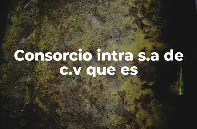 Consorcio Intra S.a de C.v que es