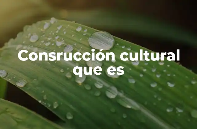 Consrucción Cultural que es