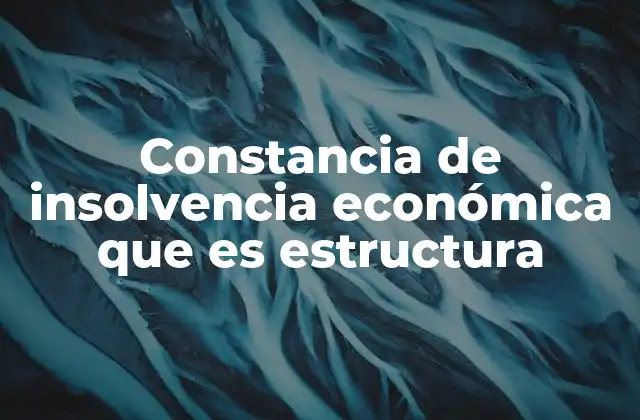 Constancia de Insolvencia Económica que es Estructura