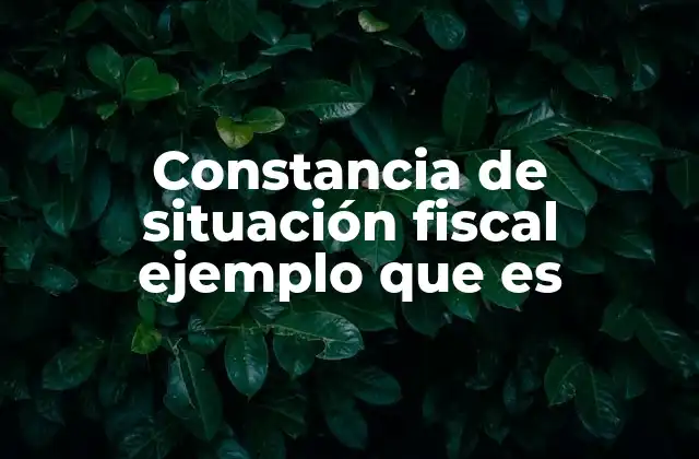 Constancia de Situación Fiscal Ejemplo que es