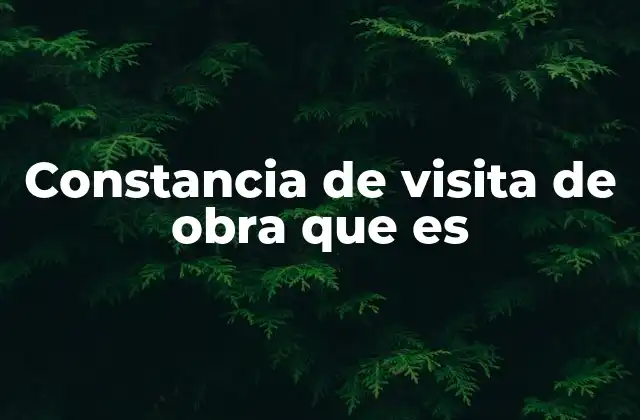 Constancia de Visita de Obra que es