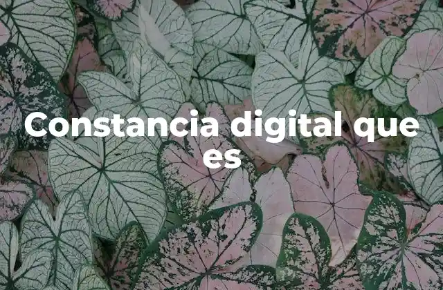 Constancia Digital que es