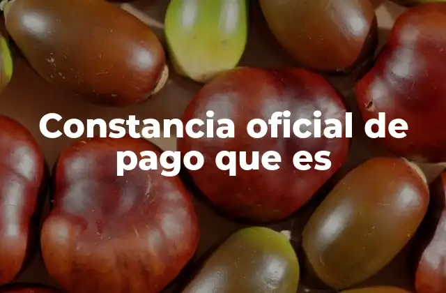 Constancia Oficial de Pago que es