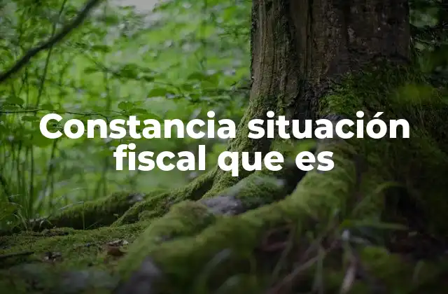 Constancia Situación Fiscal que es