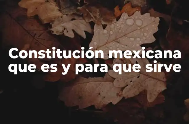 Constitución Mexicana que es y para que Sirve