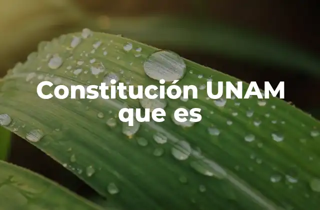 Constitución Unam que es