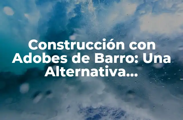 Construcción con Adobes de Barro: una Alternativa Sustentable y Ecológica