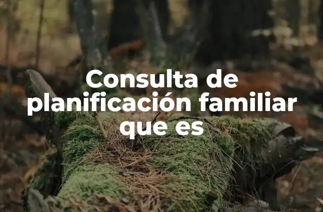 Consulta de Planificación Familiar que es