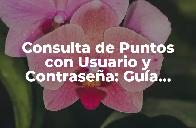 Consulta de Puntos con Usuario y Contraseña: Guía Completa para la Autenticación Segura