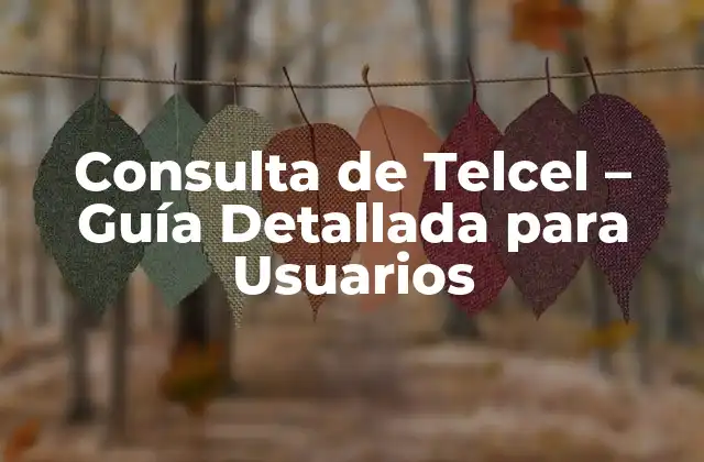 Consulta de Telcel – Guía Detallada para Usuarios