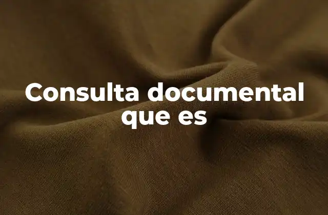Consulta Documental que es