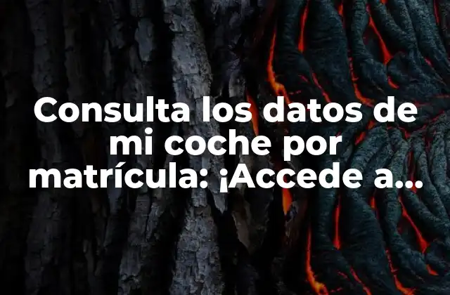 Consulta los Datos de Mi Coche por Matrícula: ¡accede a Información Valiosa!