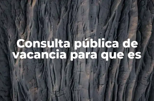 Consulta Pública de Vacancia para que es 2 El papel de la consulta pública en la gobernanza democrática