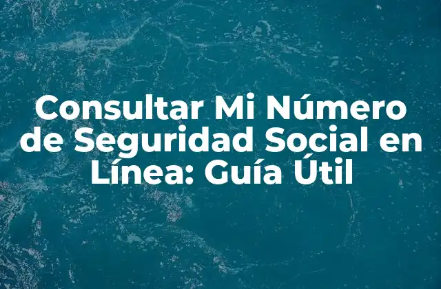 Consultar Mi Número de Seguridad Social en Línea: Guía Útil 2 ¿Por Qué Es Importante Consultar Mi Número de Seguridad Social?
